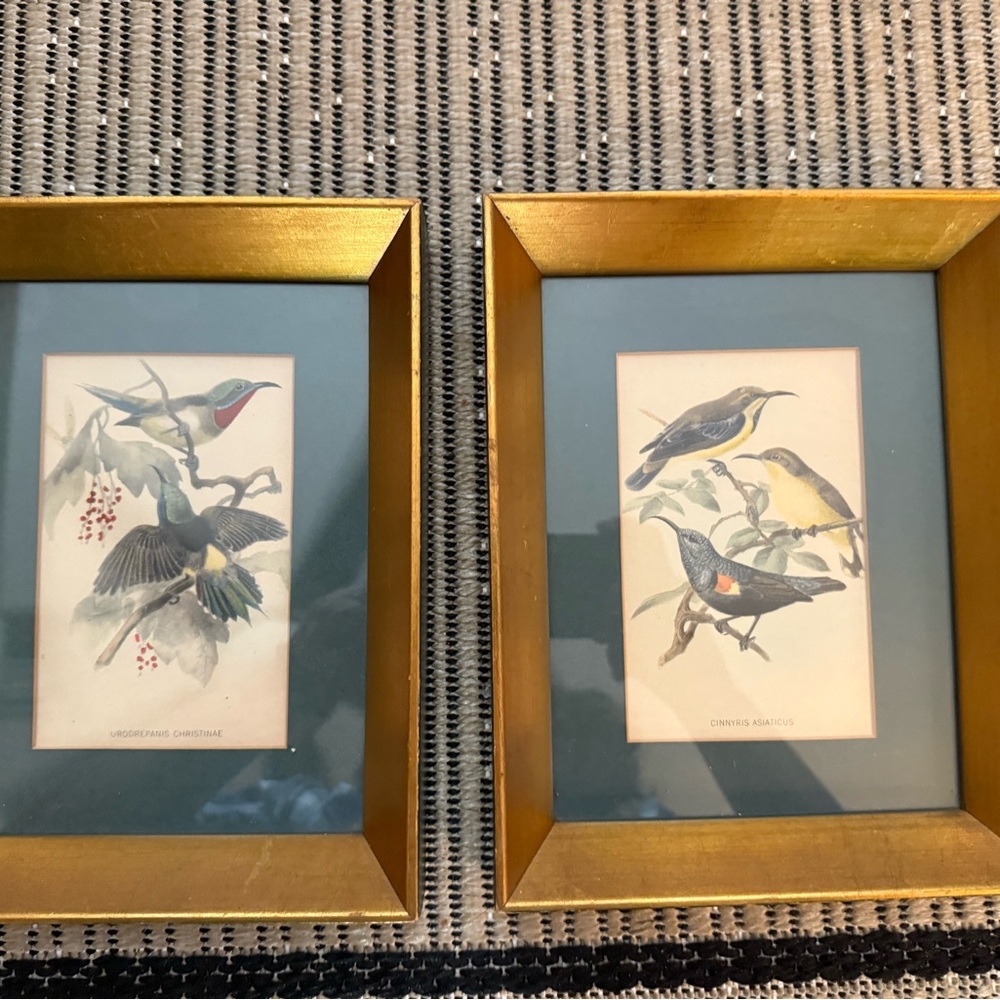 1940s 1950s Pair of Gold Framed Bird Art Prints